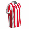 Errea Strip Shirt