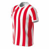 Errea Strip Shirt