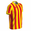 Errea Strip Shirt