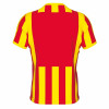 Errea Strip Shirt