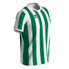 Errea Strip Shirt