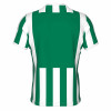 Errea Strip Shirt