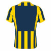 Errea Strip Shirt