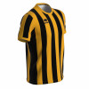 Errea Strip Shirt