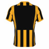 Errea Strip Shirt