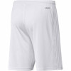 adidas Squadra 21 Shorts - White/White