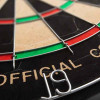 Harrows Official Competition Dartboard