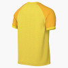 Nike Trophy VI Jersey (Short Sleeve)