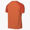 Nike Trophy VI Jersey (Short Sleeve)