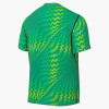 Nike Gardien VI Goalkeeper Jersey (Short Sleeve)