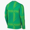 Nike Gardien VI Goalkeeper Jersey (Long Sleeve)