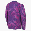 Nike Gardien VI Goalkeeper Jersey (Long Sleeve)