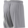 adidas Fortore 23 Short