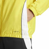 adidas Tiro 24 Windbreaker