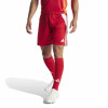 adidas Tiro 24 Short