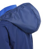 adidas Tiro 24 Competition All Weather Jacket