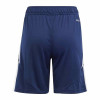 adidas Tiro 24 Training Shorts