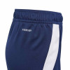 adidas Tiro 24 Training Shorts