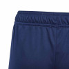 adidas Tiro 24 Training Shorts