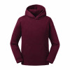 Russell Authentic Hoodie