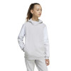 adidas Squadra 25 Hoodie