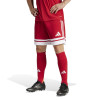 adidas Squadra 25 Shorts