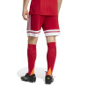 adidas Squadra 25 Shorts