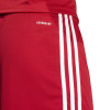 adidas Squadra 25 Shorts