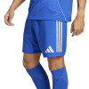 adidas Tiro 25 Competition Match Shorts