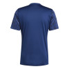adidas Team Icon 25 Jersey (Short Sleeve)