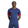 adidas Squadra 25 Jersey (Short Sleeve)