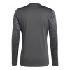 adidas Team Icon 25 Jersey (Long Sleeve)