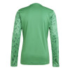 adidas Team Icon 25 Jersey (Long Sleeve)