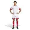 adidas Squadra 25 Shorts