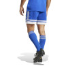 adidas Squadra 25 Shorts