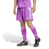 adidas Tiro 24 GK Shorts - Purple Burst