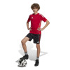 adidas Tiro 25 Competition Training Shorts