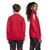 adidas Tiro 25 Competition Presentation Jacket