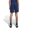 adidas Tiro 25 Competition DT Shorts