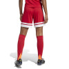 adidas Womens Squadra 25 Shorts