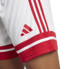 adidas Womens Squadra 25 Shorts