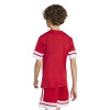 adidas Squadra 25 Jersey (Short Sleeve)
