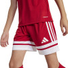 adidas Squadra 25 Jersey (Short Sleeve)