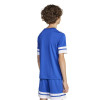 adidas Squadra 25 Jersey (Short Sleeve)