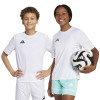 adidas Squadra 25 Jersey (Short Sleeve)