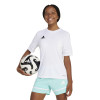 adidas Squadra 25 Jersey (Short Sleeve)