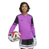 adidas Squadra 25 GK Jersey (Long Sleeve)