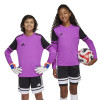 adidas Squadra 25 GK Jersey (Long Sleeve)