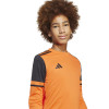 adidas Squadra 25 GK Jersey (Long Sleeve)