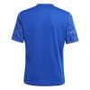 adidas Team Icon 25 Jersey (Short Sleeve)